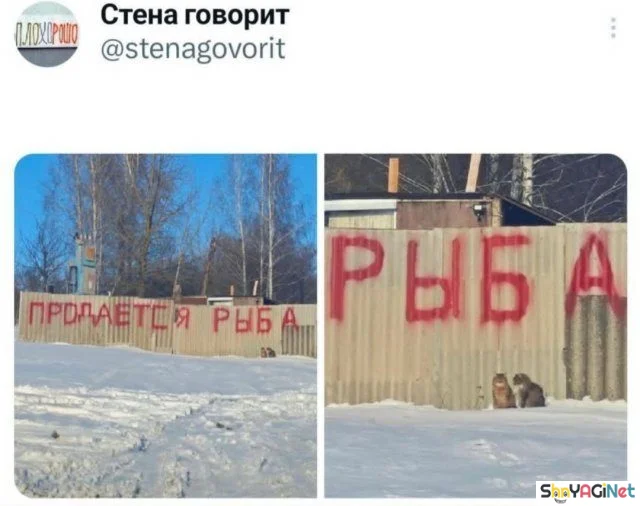 25 хитов из соцсетей: комментарии, которые взорвали интернет 25 хитов из соцсетей: комментарии, которые взорвали интернет комментарии, соцсети, юмор, подборка, приколы, хиты