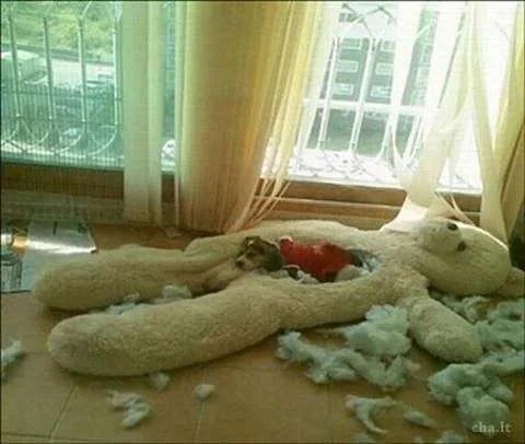 Уроки труда с музыкальным уклоном школа, учитель, детство, ностальгия, подборка