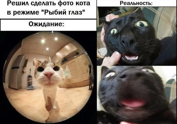 Уроки труда с музыкальным уклоном школа, учитель, детство, ностальгия, подборка