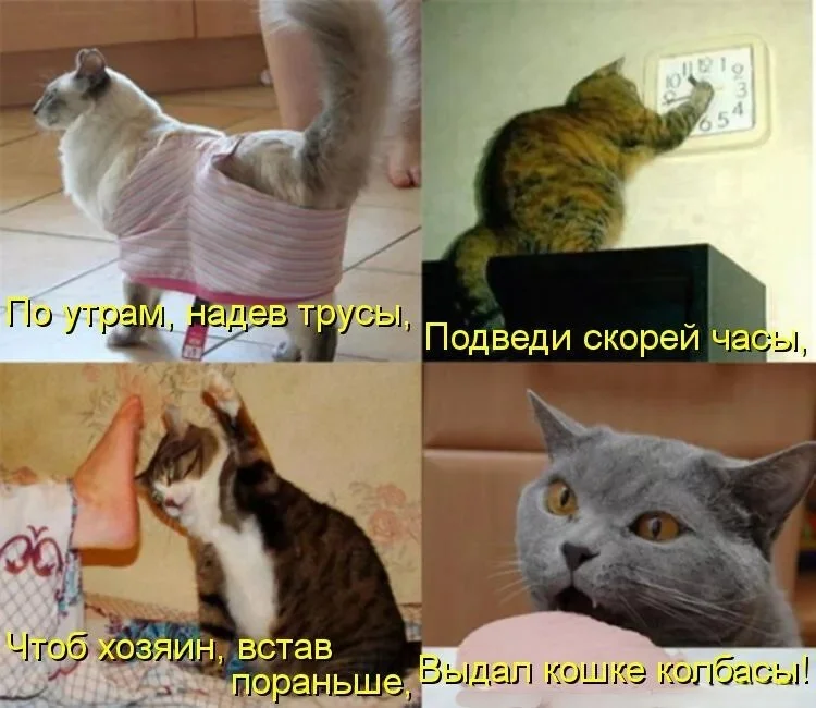 Улыбнись! Свежая порция мемов и шуток Улыбнись! Свежая порция мемов и шуток мемы, юмор, приколы, картинки, смех