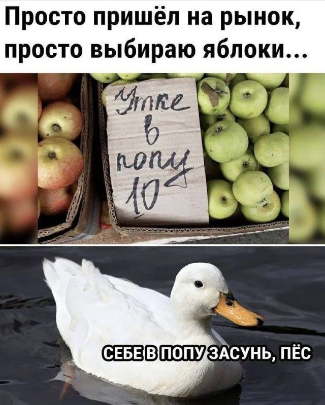 Мемы, которые попадают в точку Мемы, которые попадают в точку мемы, юмор, приколы, картинки, смех