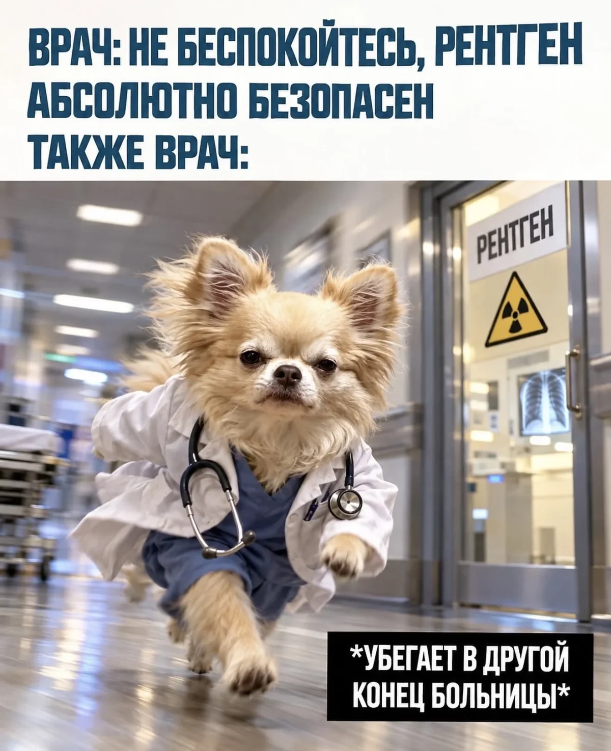 Юмор дня: мемы и шутки для хорошего настроения мемы, шутки, юмор, картинки, подборка