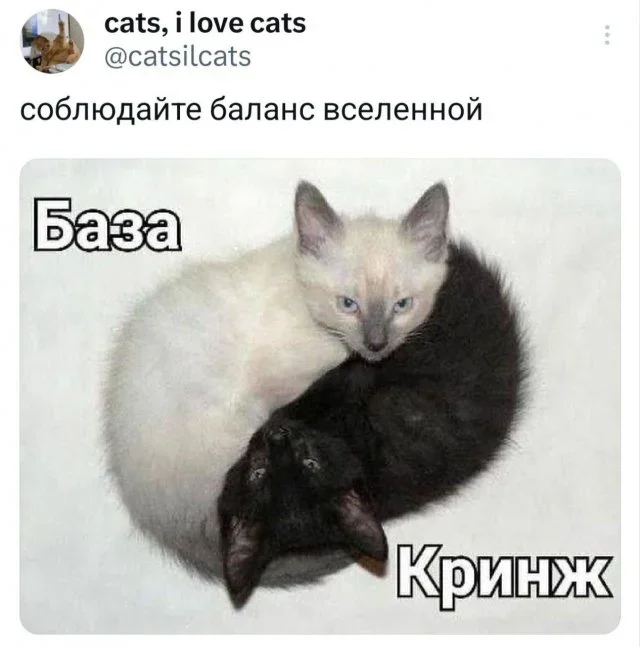 Смех до слёз: вечерняя порция мемов Смех до слёз: вечерняя порция мемов юмор, мемы, картинки, приколы, смех