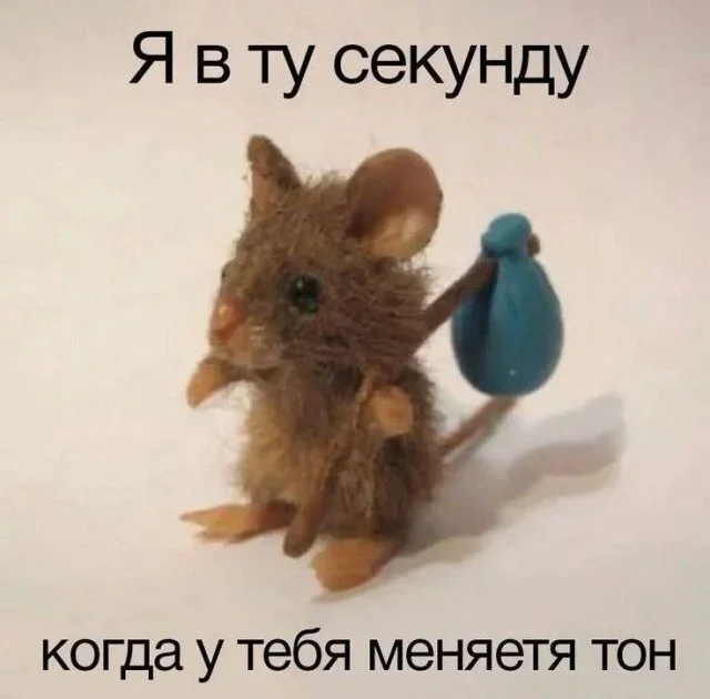 Смех до слёз: вечерняя порция мемов Смех до слёз: вечерняя порция мемов юмор, мемы, картинки, приколы, смех