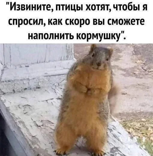 Смех до слёз: вечерняя порция мемов Смех до слёз: вечерняя порция мемов юмор, мемы, картинки, приколы, смех