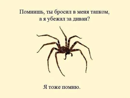 Смех до слёз: вечерняя порция мемов Смех до слёз: вечерняя порция мемов юмор, мемы, картинки, приколы, смех