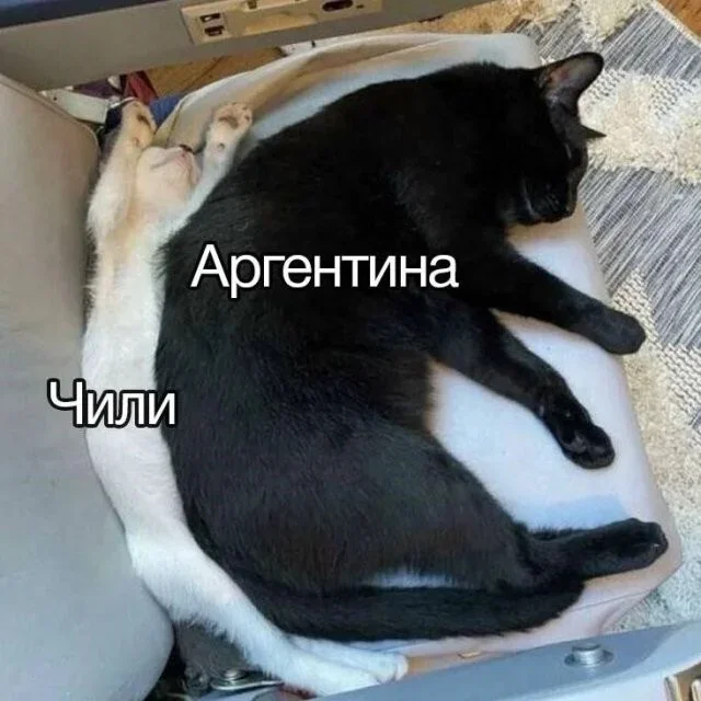 Смех до слёз: вечерняя порция мемов Смех до слёз: вечерняя порция мемов юмор, мемы, картинки, приколы, смех