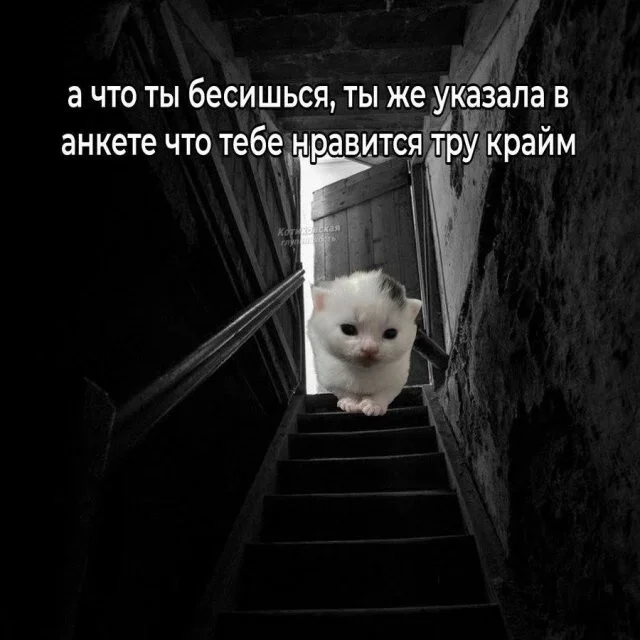 Смех до слёз: вечерняя порция мемов Смех до слёз: вечерняя порция мемов юмор, мемы, картинки, приколы, смех