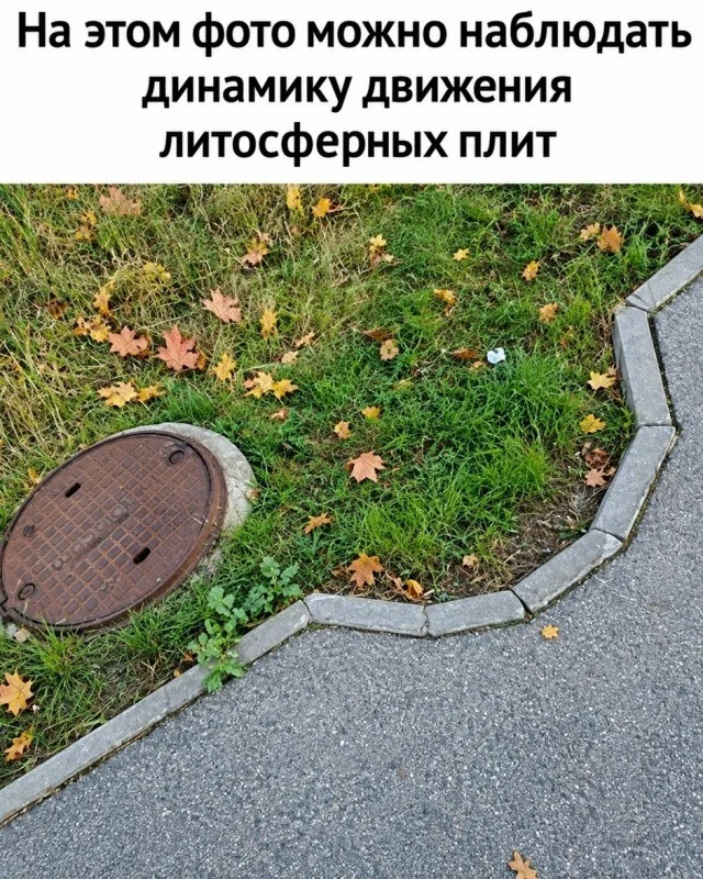 Пятница пришла — можно и посмеяться мемы, юмор, пятница, работа, подборка