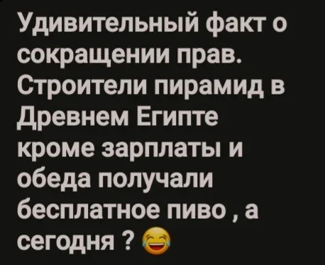 Мемы на утро: яблочный пирог и большие бутерброды мемы, юмор, картинки, подборка, смешное, утро, пятница