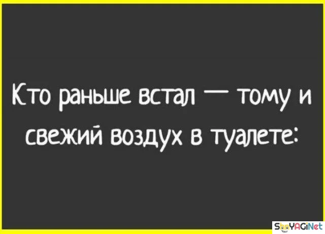 Оторопь берет: цитаты, которые попали прямо в цель Оторопь берет: цитаты, которые попали прямо в цель цитаты, подборка, юмор, мысли, приколы