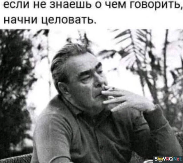 Оторопь берет: цитаты, которые попали прямо в цель Оторопь берет: цитаты, которые попали прямо в цель цитаты, подборка, юмор, мысли, приколы