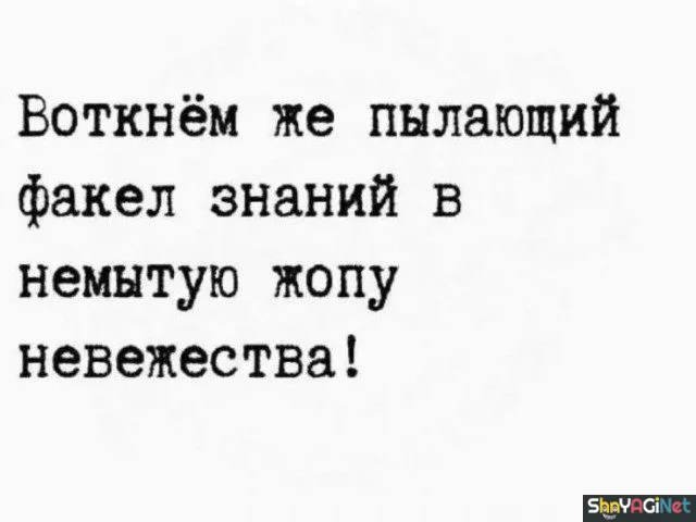 Оторопь берет: цитаты, которые попали прямо в цель Оторопь берет: цитаты, которые попали прямо в цель цитаты, подборка, юмор, мысли, приколы