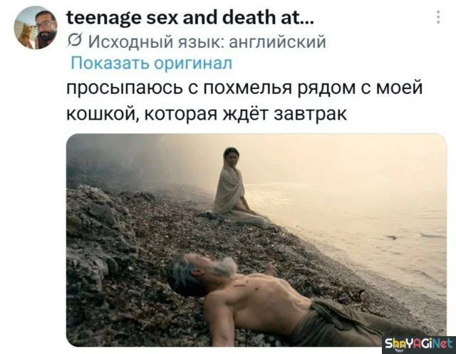 Комментарии, которые взорвали интернет Комментарии, которые взорвали интернет комментарии, соцсети, юмор, приколы, скриншоты