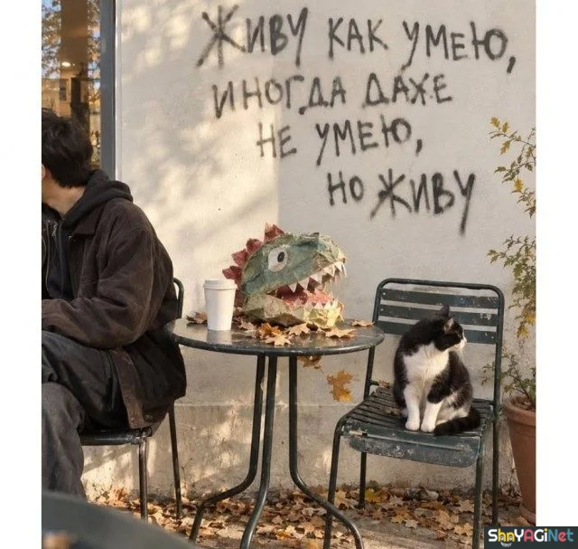 Умора! 19 народных перлов Умора! 19 народных перлов прикольные надписи, юмор, подборка картинок, народное творчество, смешные объявления