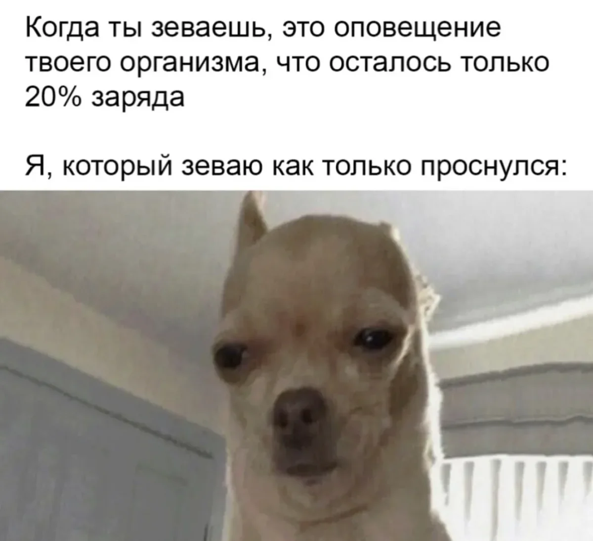 Вечерний юмор: мемы и шутки для отличного настроения юмор, мемы, картинки, пятница, шутки