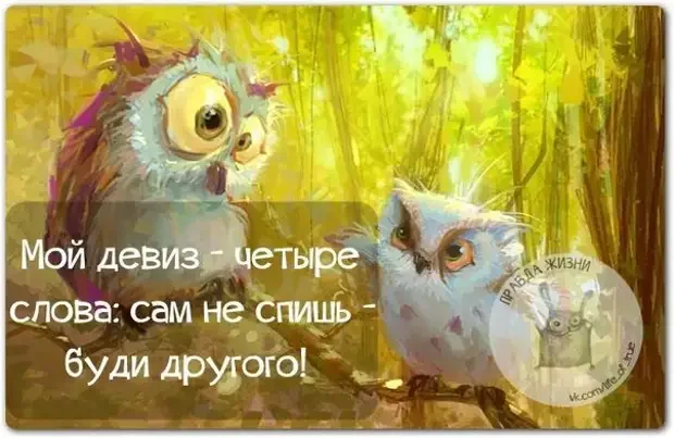 Что пишут на стенах в СИЗО: одна фраза, от которой не по себе СИЗО, Питер, надписи, тюрьма, крик души, изолятор, полиция