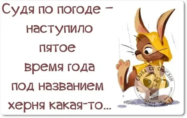 Что пишут на стенах в СИЗО: одна фраза, от которой не по себе СИЗО, Питер, надписи, тюрьма, крик души, изолятор, полиция