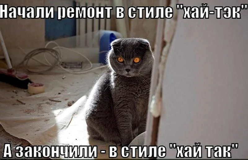 Ремонт: когда цирк с козлами — это не праздник, а будни мемы, ремонт, юмор, картинки, строители