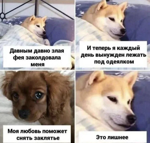 Утренняя порция мемов: 17 октября мемы, юмор, картинки, подборка, 17 октября, ИИ, капуста