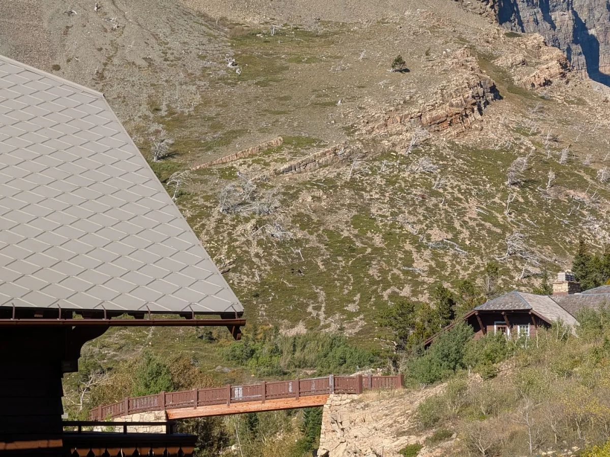 Номер за $364 и медведи под окном: как мы год ждали этот отель Many Glacier Hotel, Глейшер, Монтана, путешествия, отели, медведи, гризли, США, национальные парки, бронирование