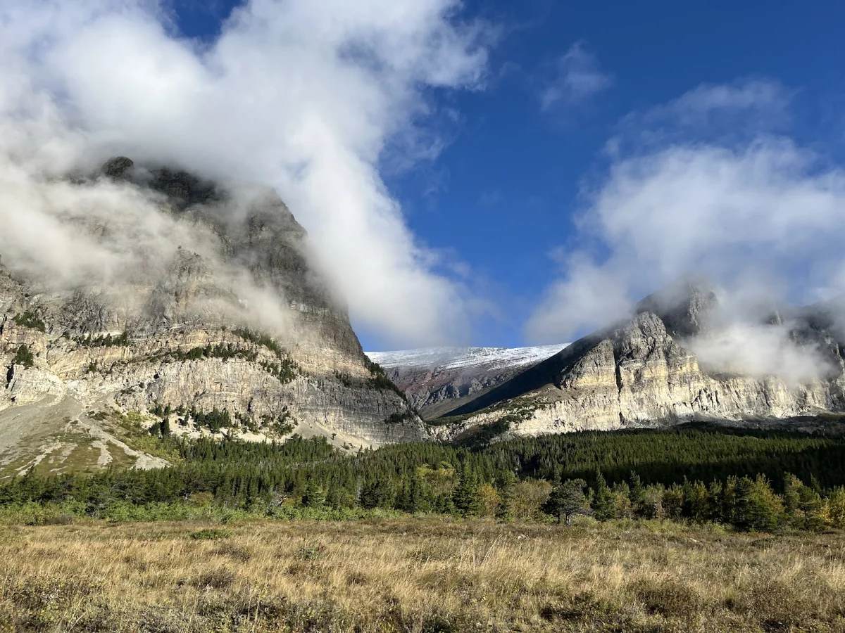 Номер за $364 и медведи под окном: как мы год ждали этот отель Many Glacier Hotel, Глейшер, Монтана, путешествия, отели, медведи, гризли, США, национальные парки, бронирование