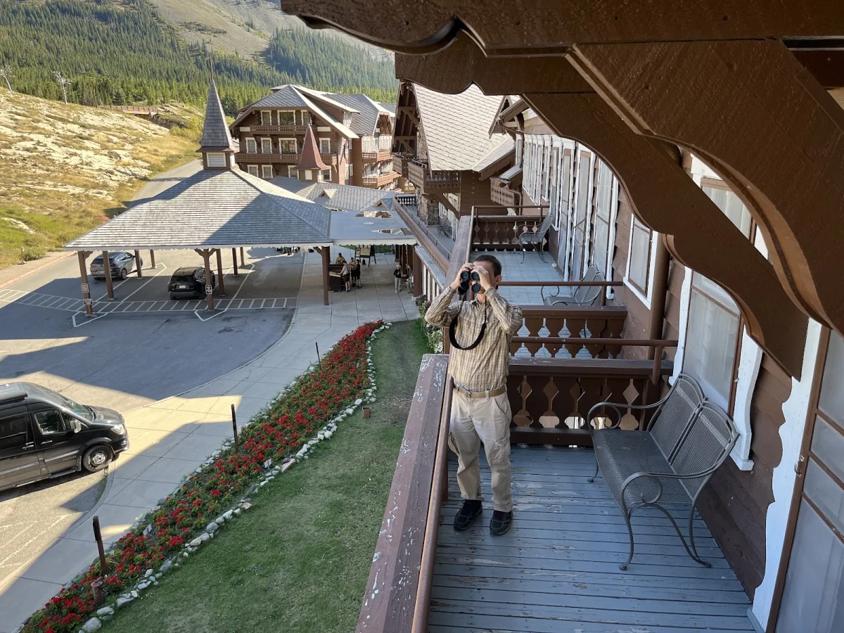 Номер за $364 и медведи под окном: как мы год ждали этот отель Many Glacier Hotel, Глейшер, Монтана, путешествия, отели, медведи, гризли, США, национальные парки, бронирование