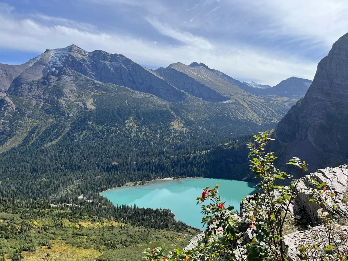 Many Glacier: отель, ледники и лоси Many Glacier, Глейшер, хайкинг, ледник Гриннелл, лодочная прогулка, дикие животные, национальный парк, США, путешествие, отель