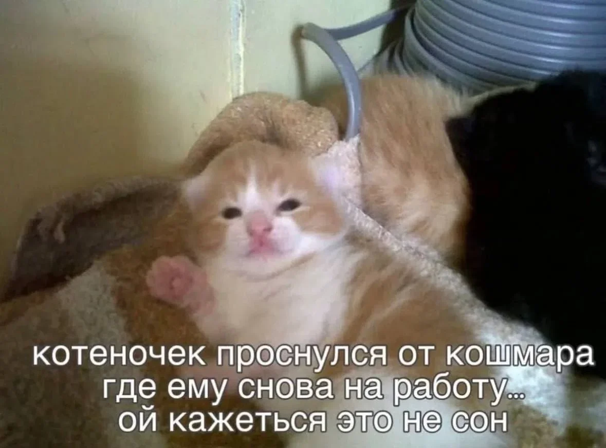 Мемы про работу: когда «это не сложно» оборачивается тремя часами ада Мемы про работу: когда «это не сложно» оборачивается тремя часами ада мемы, работа, юмор, офис, дедлайны, выгорание, картинки