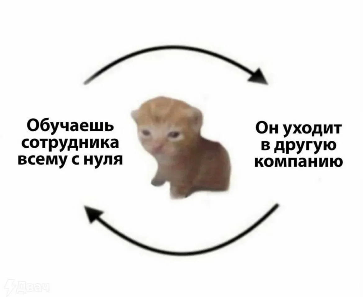 Мемы про работу: когда «это не сложно» оборачивается тремя часами ада Мемы про работу: когда «это не сложно» оборачивается тремя часами ада мемы, работа, юмор, офис, дедлайны, выгорание, картинки
