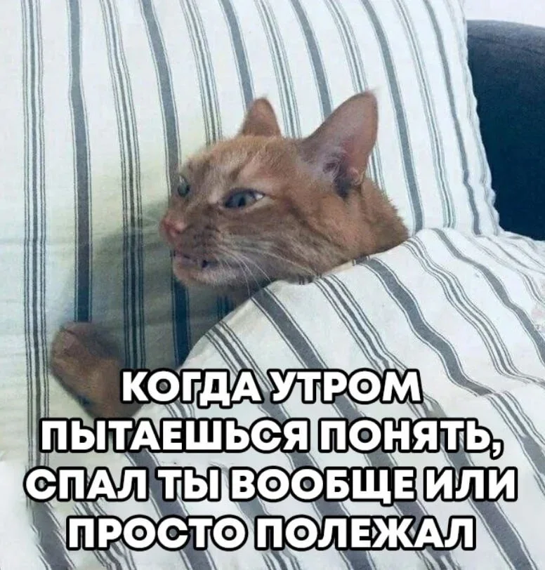 Мемы про работу: когда «это не сложно» оборачивается тремя часами ада Мемы про работу: когда «это не сложно» оборачивается тремя часами ада мемы, работа, юмор, офис, дедлайны, выгорание, картинки
