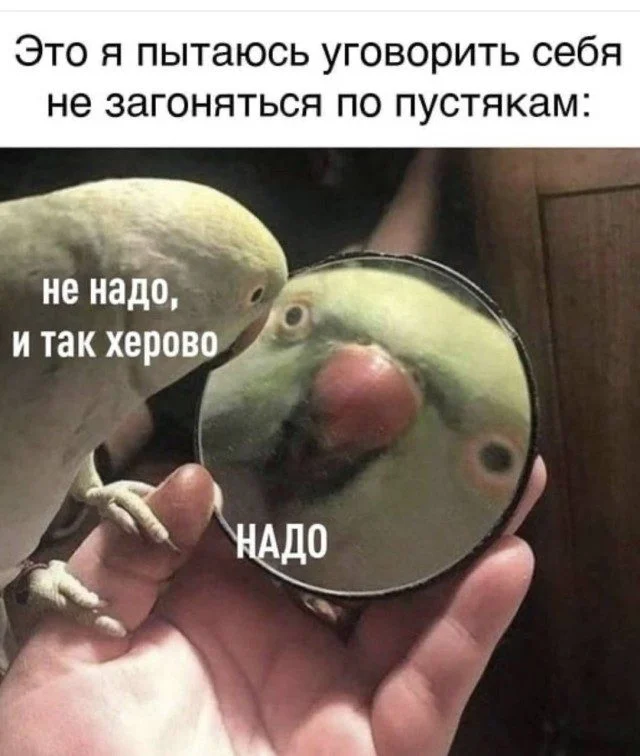 15 мемов, которые попадут прямо в точку мемы, юмор, картинки, приколы, смешное