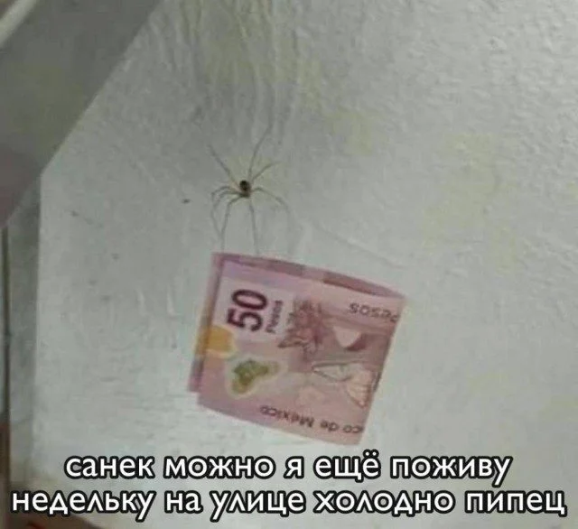 15 мемов, которые попадут прямо в точку мемы, юмор, картинки, приколы, смешное