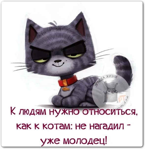 Знак, от которого водители теряют дар речи дорожные знаки, ГАИ, ипотека, мемы, юмор, фотожабы