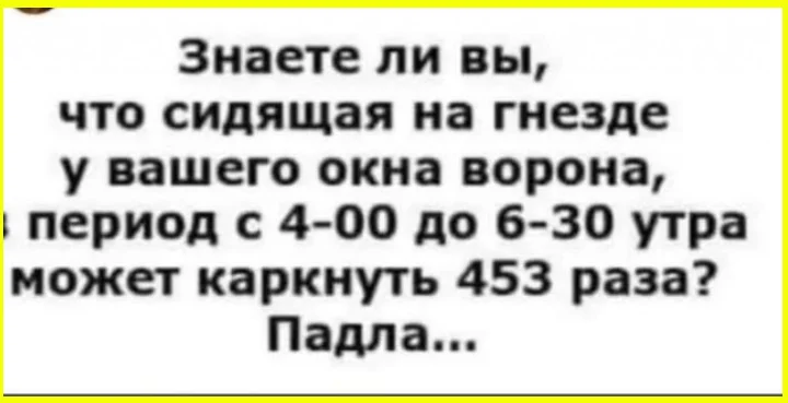 Составил резюме — и понял, что гожусь только в президенты