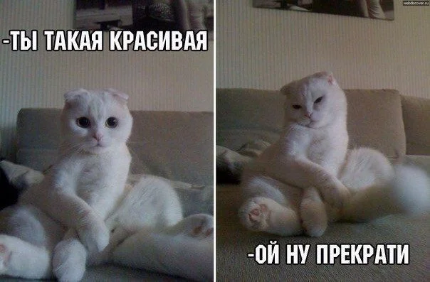 Промочишь ноги — откажет горло Промочишь ноги — откажет горло здоровье, юмор, картинки, подборка, промокшие ноги