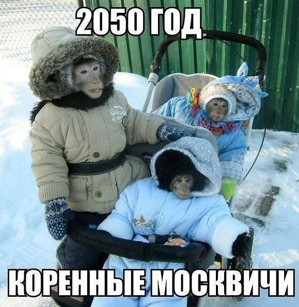 Промочишь ноги — откажет горло Промочишь ноги — откажет горло здоровье, юмор, картинки, подборка, промокшие ноги