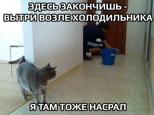 Промочишь ноги — откажет горло Промочишь ноги — откажет горло здоровье, юмор, картинки, подборка, промокшие ноги