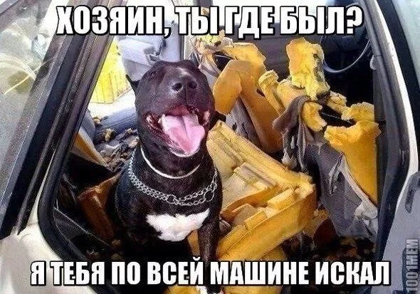 Промочишь ноги — откажет горло Промочишь ноги — откажет горло здоровье, юмор, картинки, подборка, промокшие ноги