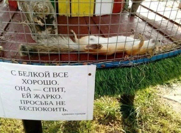 Промочишь ноги — откажет горло Промочишь ноги — откажет горло здоровье, юмор, картинки, подборка, промокшие ноги