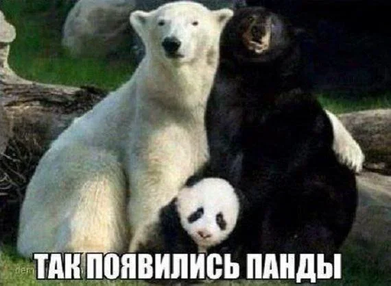 Мемы на воскресенье: механик из 1307 года и дороги взрослой жизни мемы, юмор, картинки, воскресенье, электромобили, механики, взрослая жизнь, летающие машины