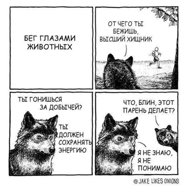 15 убойных картинок недели: кризис жанра и случайные баяны 15 убойных картинок недели: кризис жанра и случайные баяны смешные картинки, подборка, юмор, приколы, лол-арт