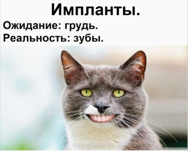 Мемы, которые важнее любых дел мемы, юмор, картинки, подборка, смешное