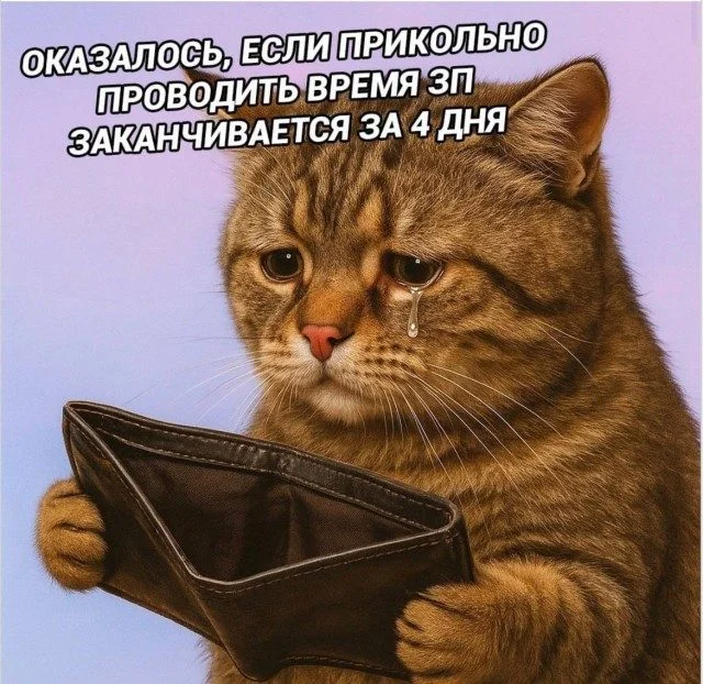 Мемы, которые важнее любых дел мемы, юмор, картинки, подборка, смешное