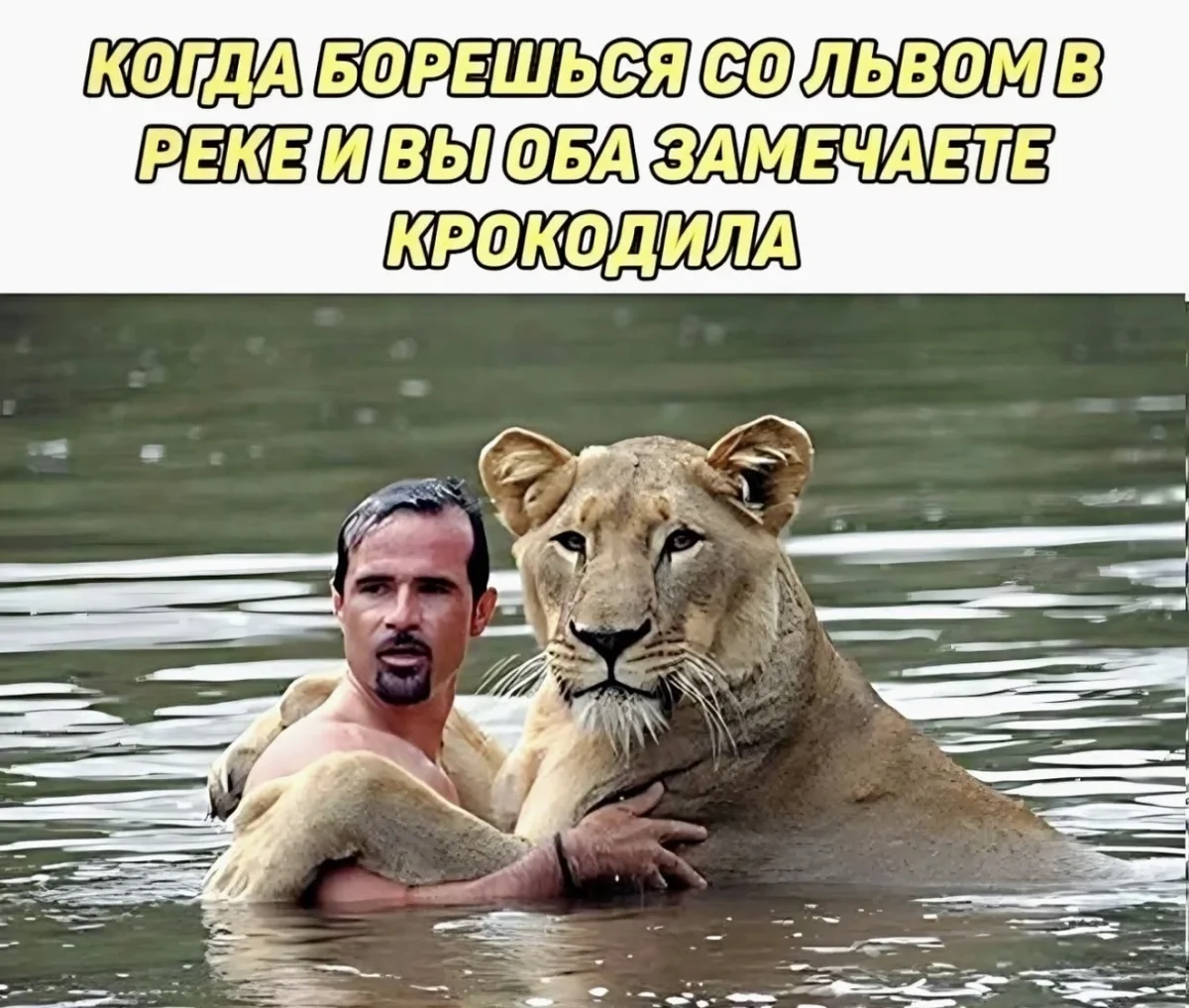 Воскресный мем-марафон: 20 картинок для поднятия настроения мемы, юмор, картинки, приколы, лень, выходные