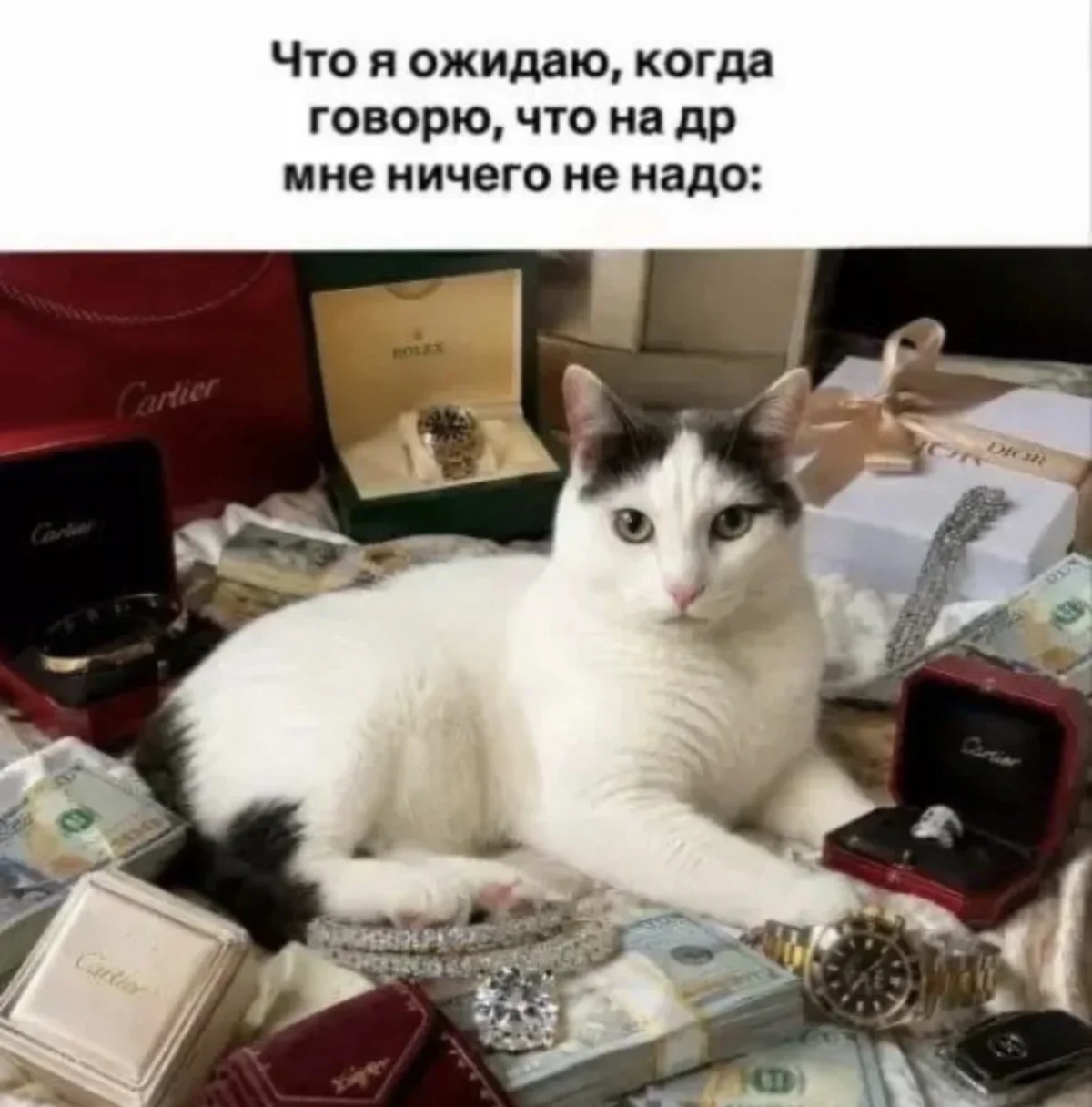 Воскресный мем-марафон: 20 картинок для поднятия настроения мемы, юмор, картинки, приколы, лень, выходные