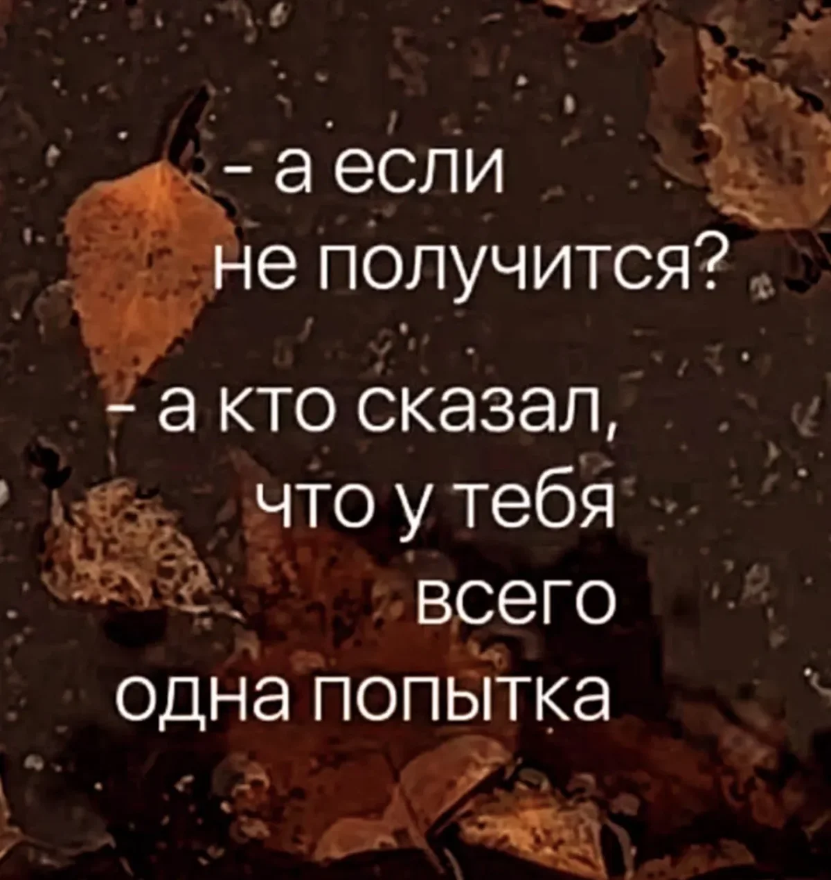 Вечерний заряд смеха: картинки и мемы Вечерний заряд смеха: картинки и мемы мемы, юмор, картинки, вечер, рыбак