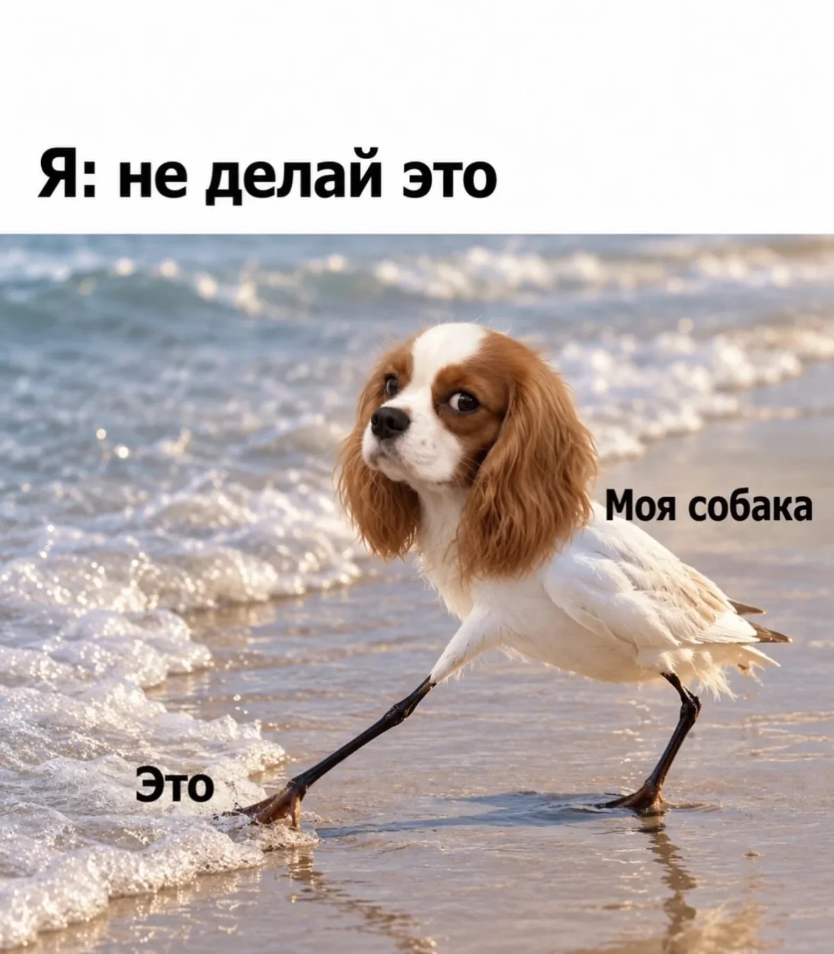 Вечерний заряд смеха: картинки и мемы Вечерний заряд смеха: картинки и мемы мемы, юмор, картинки, вечер, рыбак