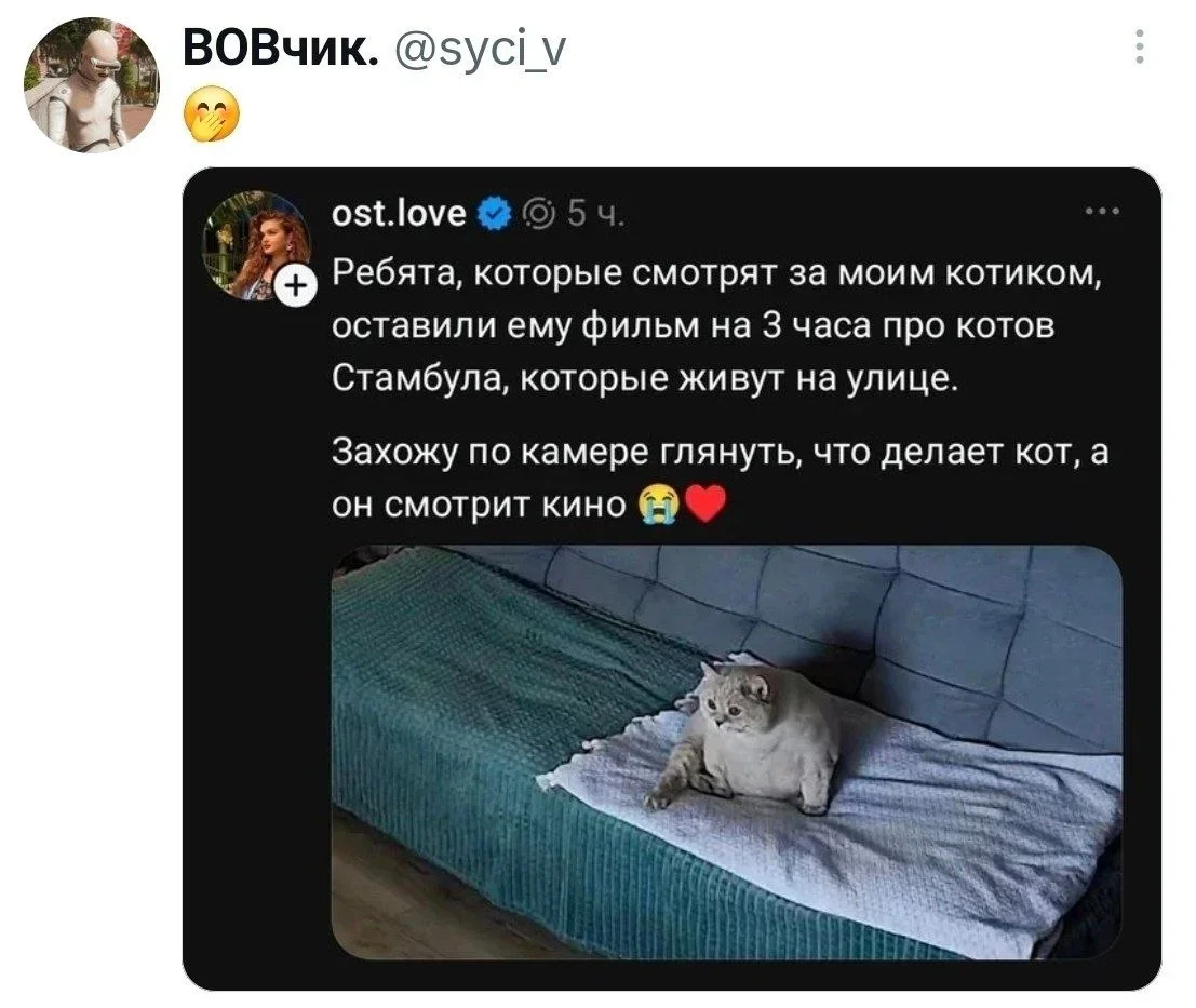 Вечерний заряд смеха: картинки и мемы Вечерний заряд смеха: картинки и мемы мемы, юмор, картинки, вечер, рыбак