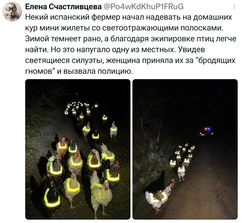 Вечерний заряд смеха: картинки и мемы Вечерний заряд смеха: картинки и мемы мемы, юмор, картинки, вечер, рыбак